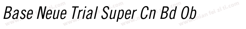 Base Neue Trial Super Cn Bd Obl字体转换